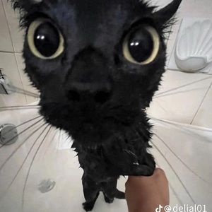 Meet your Posher, Jaylene